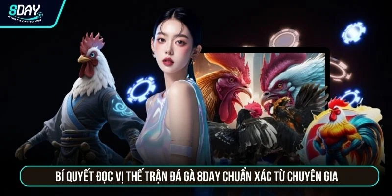 Đá Gà 8DAY - Trực Tiếp Các Trận Đấu Thomo Sắc Nét Chuẩn HD Bí quyết đọc vị thế trận đá gà 8DAY chuẩn xác từ chuyên gia