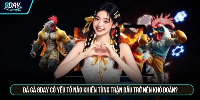 Đá Gà 8DAY - Trực Tiếp Các Trận Đấu Thomo Sắc Nét Chuẩn HD Đá gà 8DAY có yếu tố nào khiến từng trận đấu trở nên khó đoán?