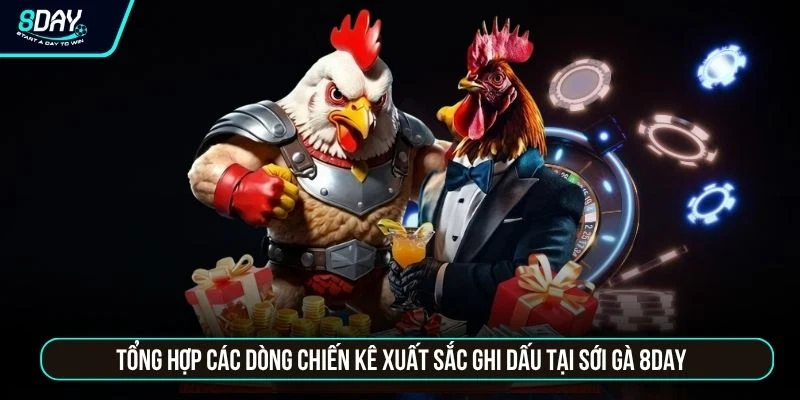 Đá Gà 8DAY - Trực Tiếp Các Trận Đấu Thomo Sắc Nét Chuẩn HD Tổng hợp các dòng chiến kê xuất sắc ghi dấu tại sới gà 8DAY